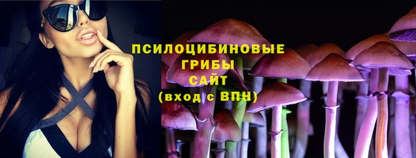 MDMA Premium VHQ Корсаков