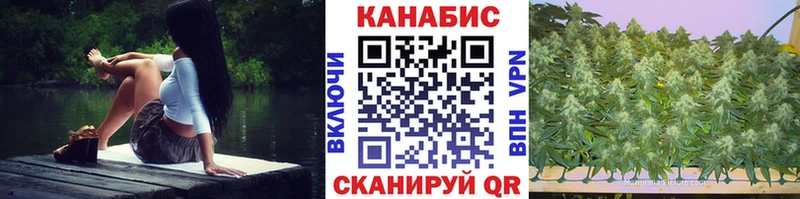 Бошки марихуана ГИДРОПОН  Купить  Камызяк 